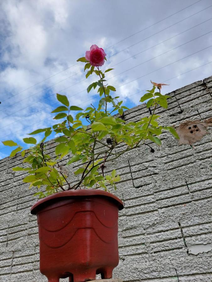 Pousada Luar 호텔 Chapada dos Guimarães 외부 사진